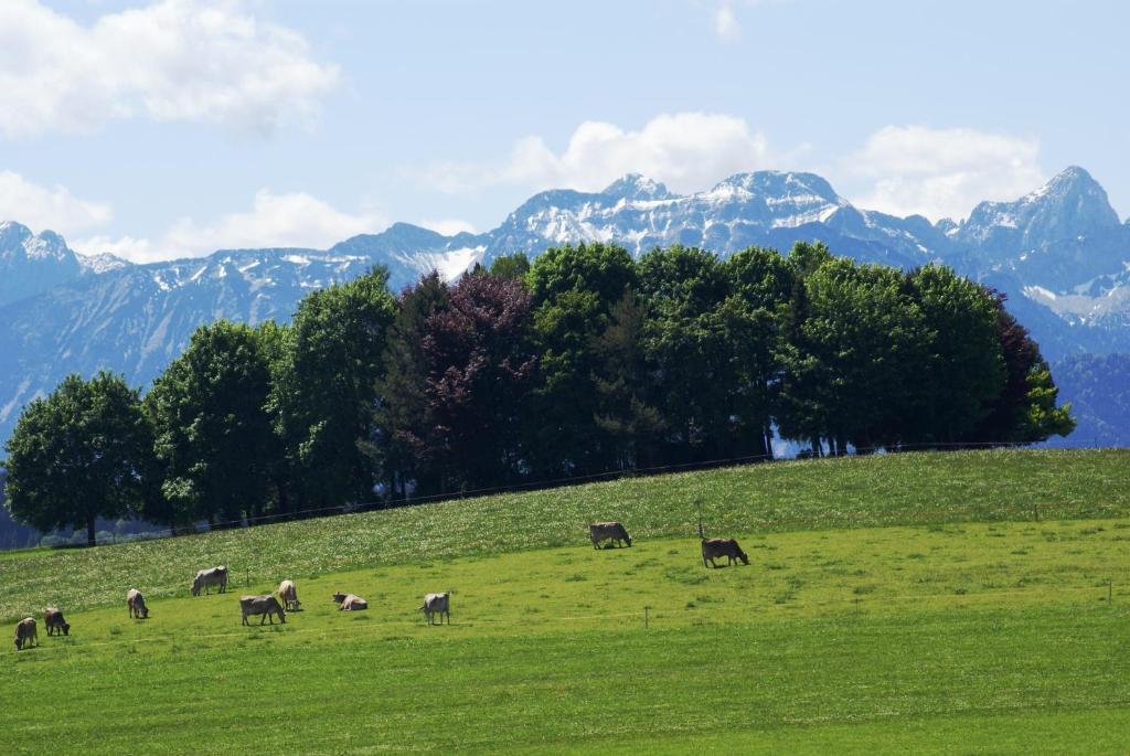 Landhaus Grobert Seeg Buitenkant foto