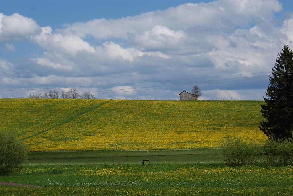 Landhaus Grobert Seeg Buitenkant foto
